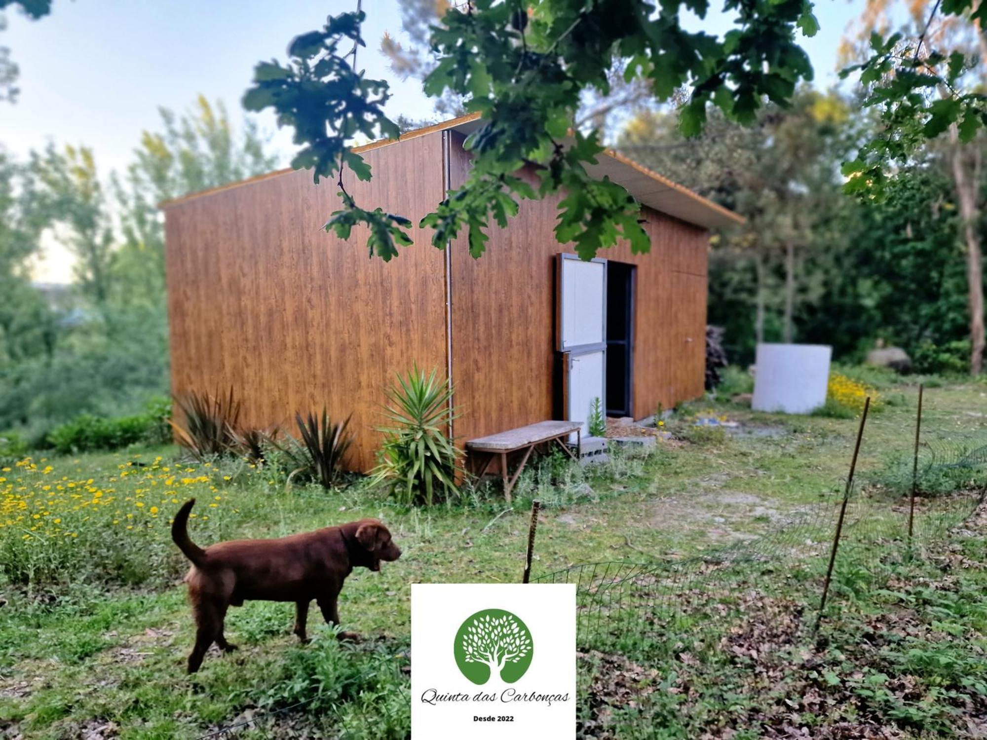 Quinta Das Carboncas Fafe Exterior foto
